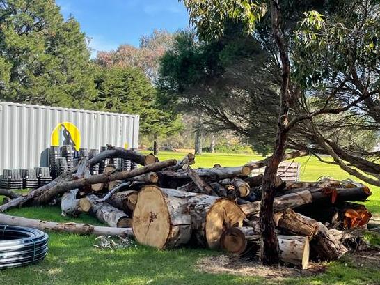 Residents were outraged after the council cut down 25 mature trees at Burnley Golf Course. Picture: Supplied