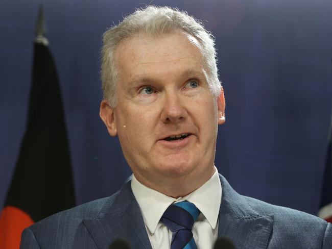 Minister for Employment and Workplace Relations Tony Burke. Picture: John Feder