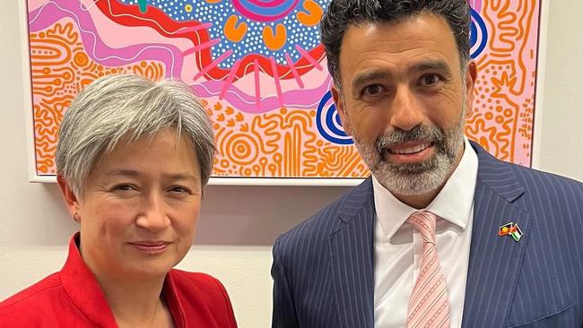 Pro-Palestine post by Penny Wong Picture: Instragram