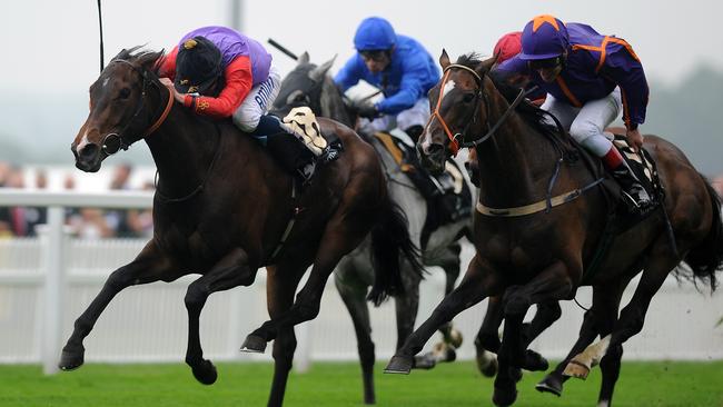 The King’s property portfolio includes Ascot Racecourse. Picture: Charlie Crowhurst/Getty Images