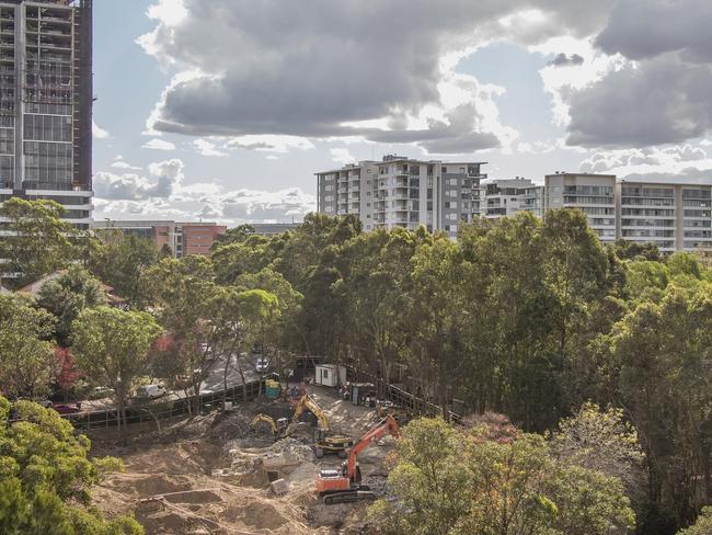 Hundreds of trees are being removed to make way for the Ivanhoe estate at Macquarie Park.