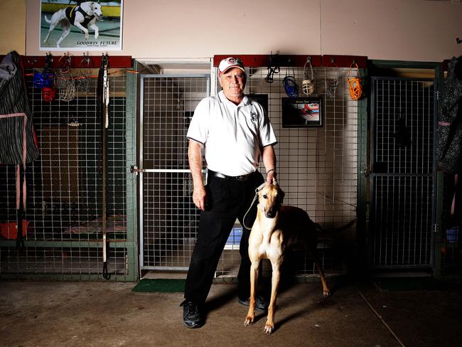 Bank manager: Greyhound owner and trainer Brian Young at his training complex near Cessnock / Picture: Peter Lorimer