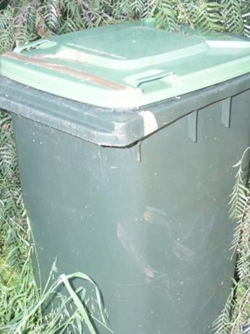 Mr McLean’s headless torso was found in this wheelie bin on October 24, 2022. Picture: SA POLICE