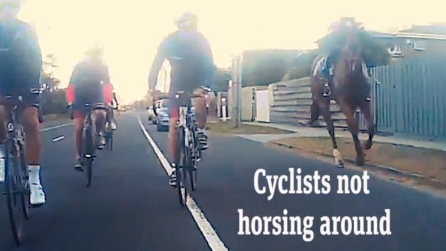 Cyclists not horsing around