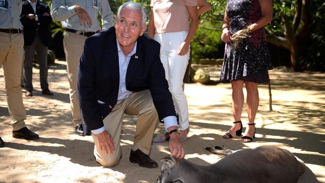 US Vice President Mike Pence pats a red kangaroo during a visit to Taronga Park Zoo in Sydney. Picture: AFP/Peter Parks