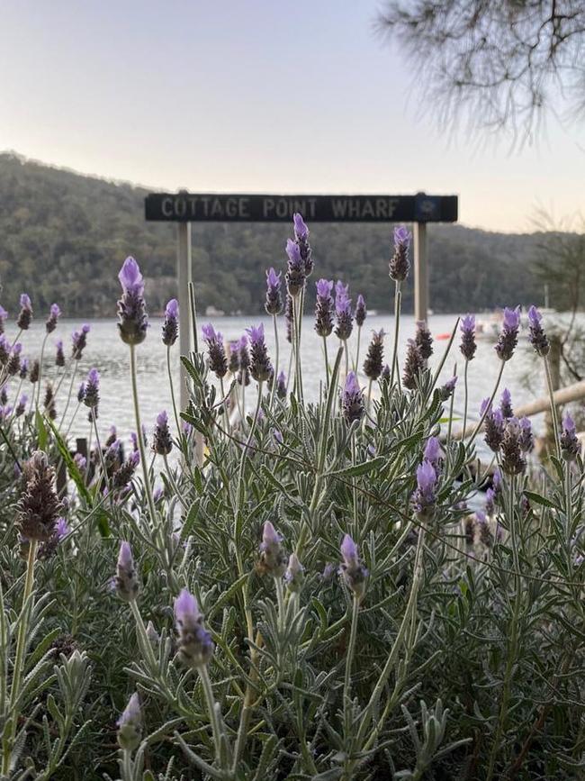 Cottage Point Inn. Picture: Instagram