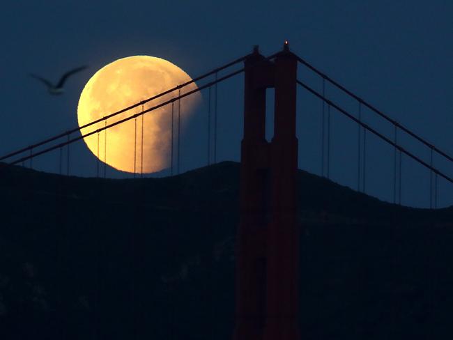 SAN FRANCISCO, CA - JANUARY 31:  A partially eclipsed super blue blood moon sets behind the Golden Gate Bridge on January 31, 2018 in San Francisco, California. The 'super blue blood moon' is a rare 'lunar trifecta' event in which the Moon is at its closest to the Earth, appearing about 14 percent brighter than usual, and is simultaneously a 'blue moon', the second full moon in the same month, as well as a total lunar eclipse or 'blood moon'. This is the first such lunar event seen in North America since 1866. (Photo by Justin Sullivan/Getty Images)