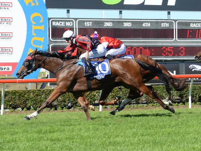 Royal Tithe keeps the punters on their knees after another short favourite is beaten into third place. Picture: Grant Peters, Trackside Photography