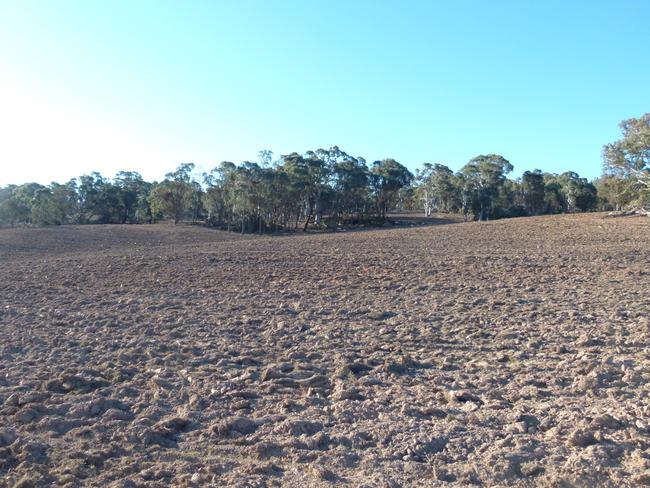 Kia Ora Stud in NSW’s Southern Tablelands, owner of the Wagyu enterprise Noel Jones. A newly cleared and ploughed paddock. Pic - Sarah Hudson
