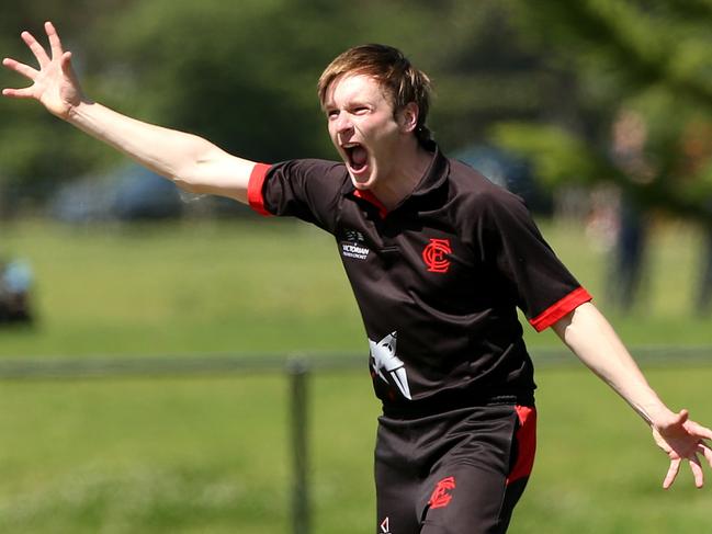 Liam Bowe of Essendon appeals unsuccessfully for the wicket of Harrison Smyth of Carlton during Premier Cricket: Carlton v Essendon on Saturday, October 5, 2019, in Carlton, Victoria, Australia. Picture: Hamish Blair