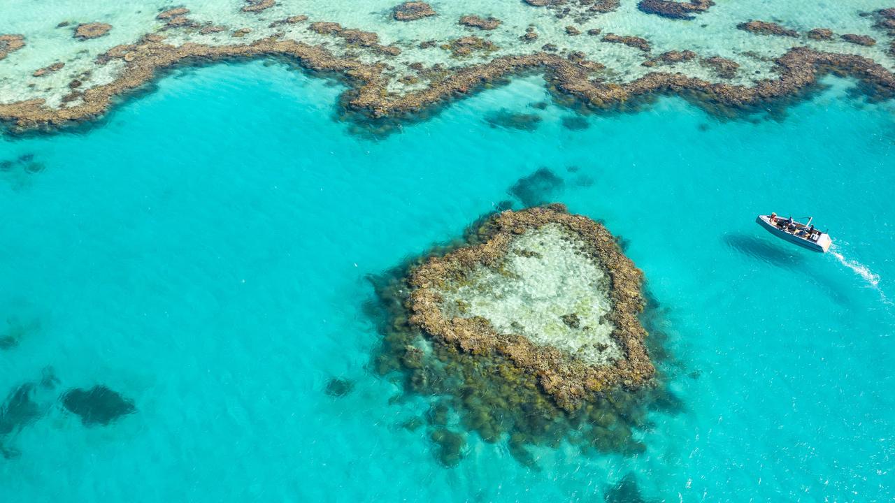 Worth heading out to visit Heart Reef in the Whitsundays.