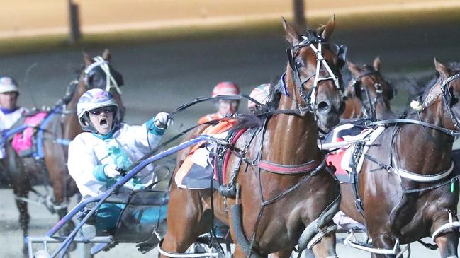 My Kiwi Mate has a great draw in his Inter Dominion heat. Picture: Stuart McCormick