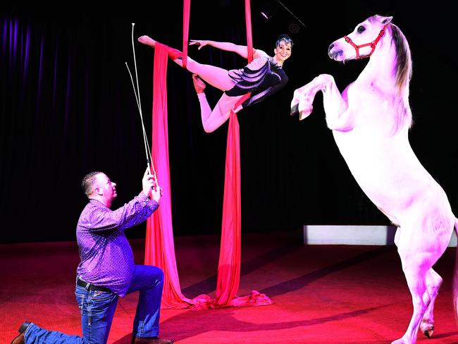 Hudsons Circus has proved popular with Cairns families over the school holidays, and will perform its final Cairns shows this week. Hudsons Circus animal trainer Beau Pearson signals Silver the horse to rear on his hind legs, while aerialist Chantel Ashton-Rodriguez performs a trick on the silks two metres above the ground. Picture: Brendan Radke