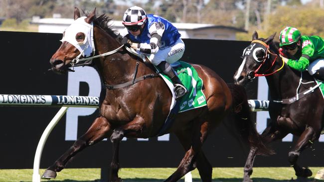 Yulong Base can land another TAB Highway win. Picture: Grant Guy