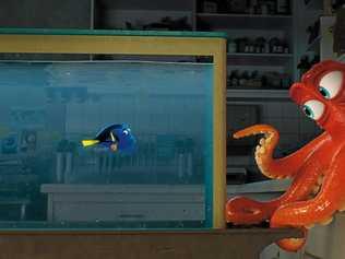 Forgetful blue tang Dory (Ellen DeGeneres) encounters a cantankerous octopus named Hank (Ed O'Neill) in the movie Finding Dory. Picture: Pixar