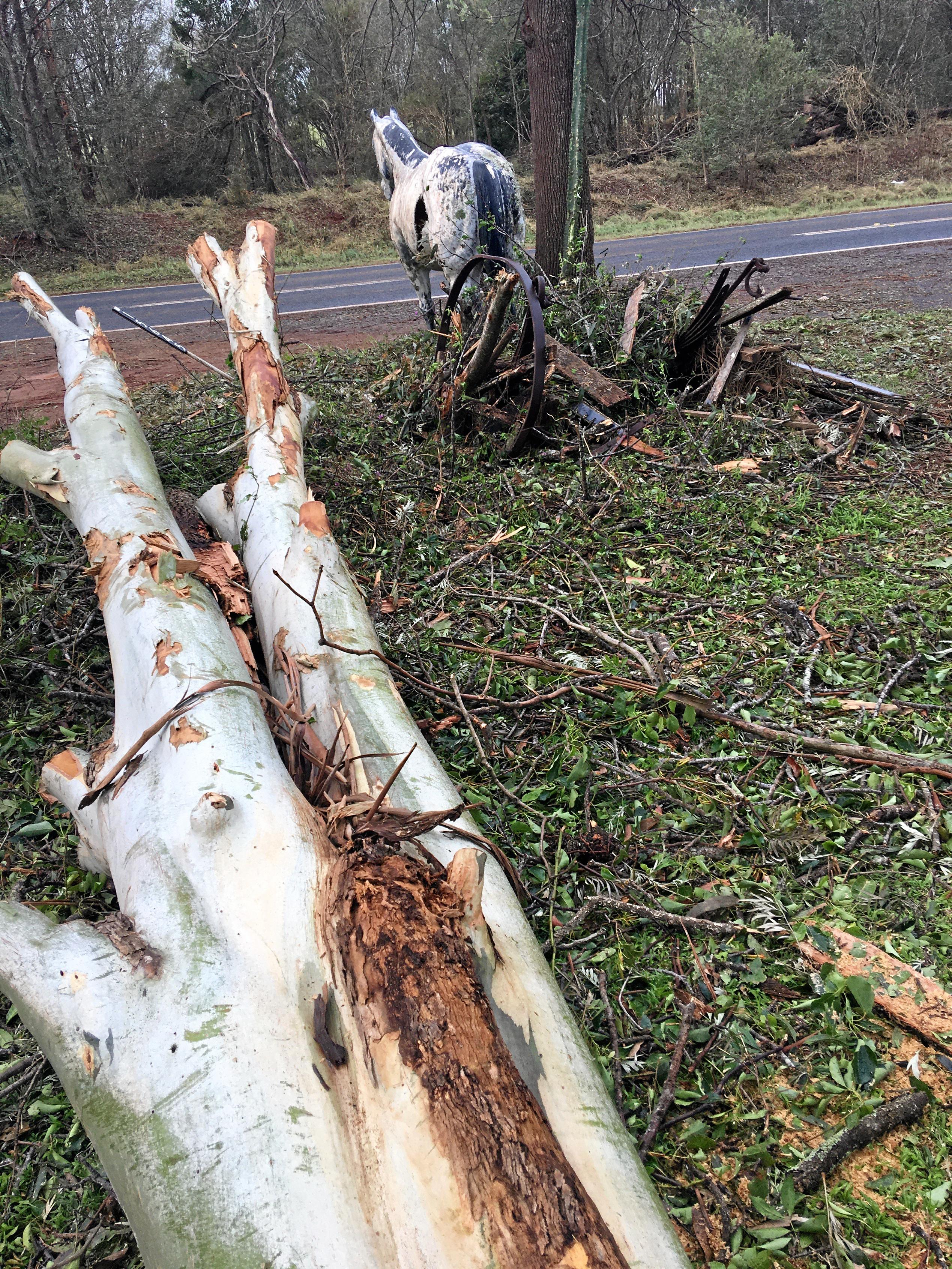 POTTED AND PUMMELED: The lavender farm took the brunt of the storm, receiving buckets of hail and broken windows before losing the roof off of the antique shed. Picture: Erin Anne Zaleski