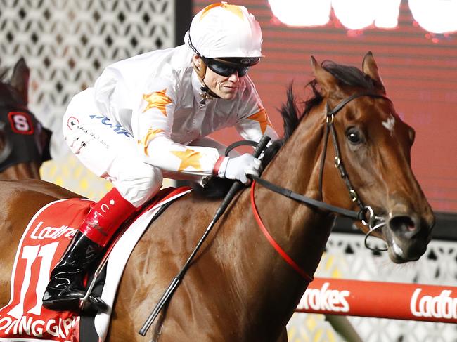 MELBOURNE, AUSTRALIA - OCTOBER 25: Craig Williams riding #11 Loving Gaby to win race 7 the Ladbrokes Manikato Stakes during 2019 Manikato Stakes Night at Mooney Valley Racecourse on October 25, 2019 in Melbourne, Australia. (Photo by Daniel Pockett/Getty Images)