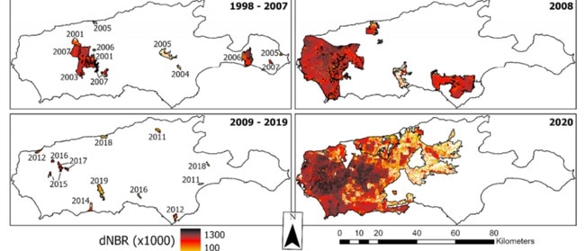 The satellite pictures reveal the catastrophic extent of the 2020 fires.