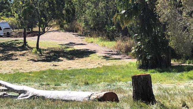 A tree felled at Agnes Water. Indigenous locals say the trees are on a sacred site and they weren't consulted.