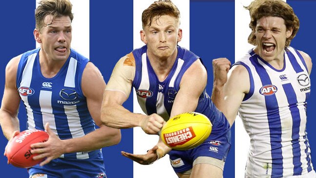 North Melbourne art Shaun Higgins Ben Brown