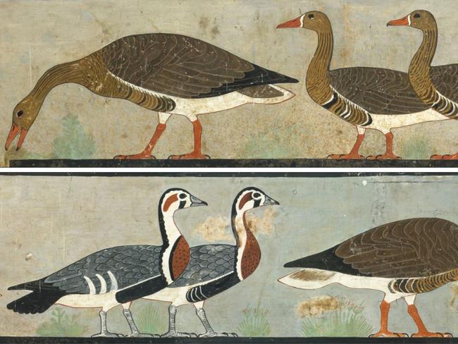 'Meidum Geese', Chapel of Itet, mastaba of Nefermaat and Itet (Dynasty 4), Medium, Egypt (Credit C.K. Wilkinson).