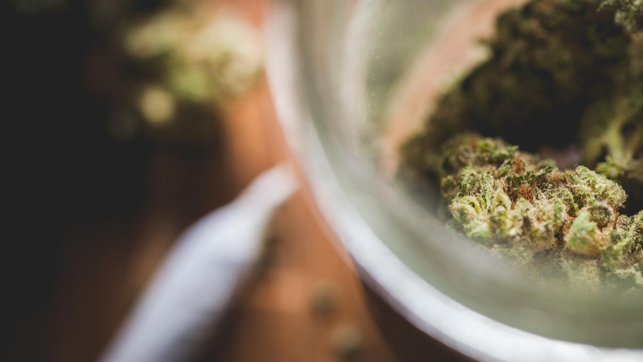 Cannabis generic. istock.