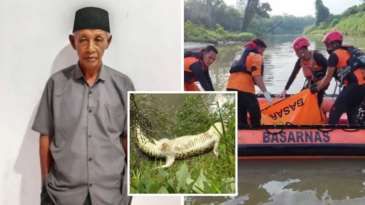 Grandad ‘ripped in half’ by crocodile