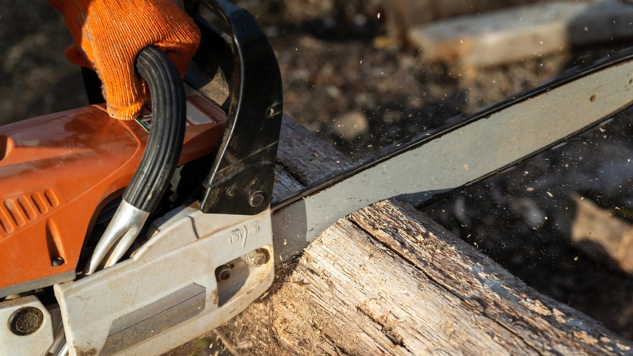 Damian Salpietro fined for logging firewood in Metcalfe state forest ...