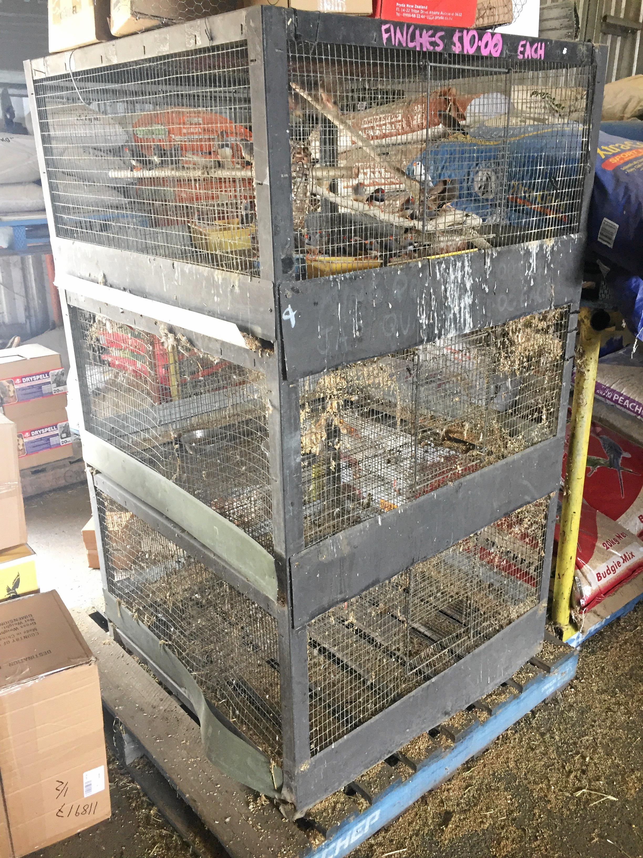 Photos taken at Stocks Produce during an RSPCA investigation in to the business' care of the animals it had for sale.