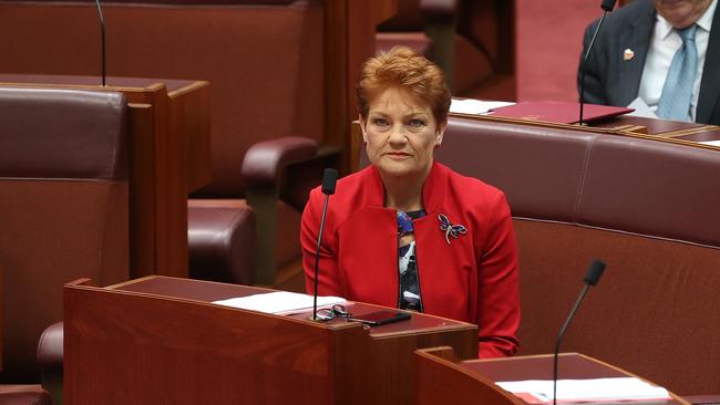 Senator Pauline Hanson in the Senate Chamber