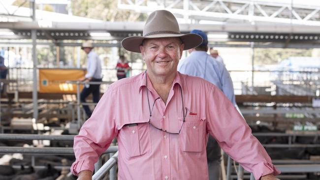 Elders national livestock manager Peter Homann. Picture: Zoe Phillips