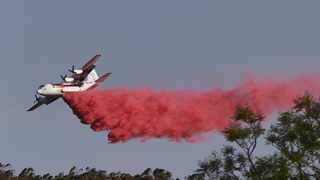 Queensland Premier Annastacia Palaszczuk has called for the state to have a permanent water bombing plane, similar to the one here used to fight the devastating fires in NSW. (Photo by Brett Hemmings/Getty Images)