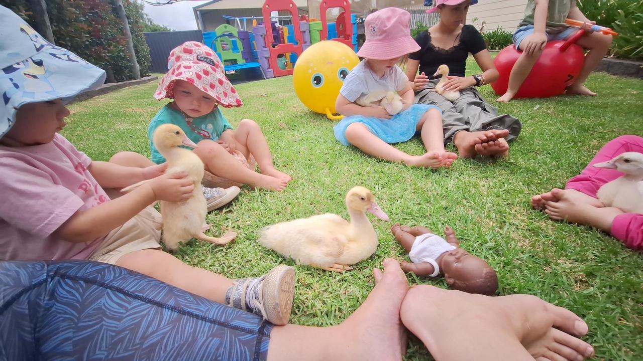 Mandy Polzin has been recognised by the Excellence in Family Day Care Awards as the Darling Downs, Somerset and Lockyer's best daycare education in 2024. Picture: supplied