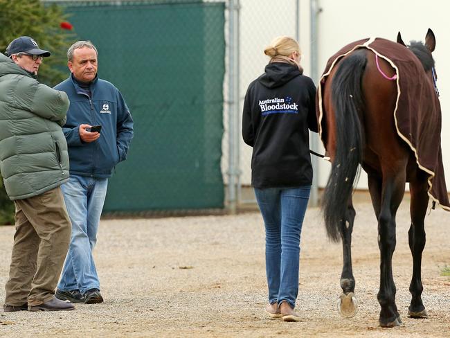 Trainer Andreas Wohler (second left) chats with trainer Lee Freedman as Articus returns from trackwork. Picture: Mark Stewart