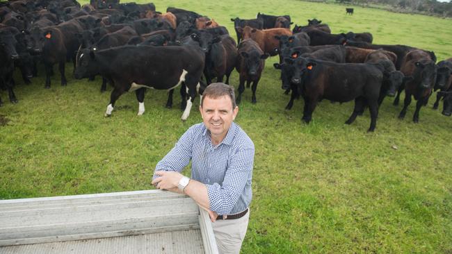 MacKillop Nick McBride says his office fields a series of calls from locals every time border restrictions change. Picture: Tom Huntley