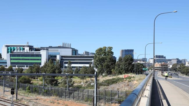 The man is being treated in the Royal Adelaide Hospital. Picture: NCA NewsWire / Dean Martin