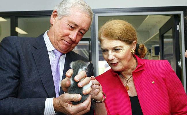  Her Excellency Governor of Queensland Penelope Wensley and her husband Stuart McCosker and a domestic kitten at the official opening of the new RSPCA Animal Care Campus at Wacol. Picture: Claudia Baxter