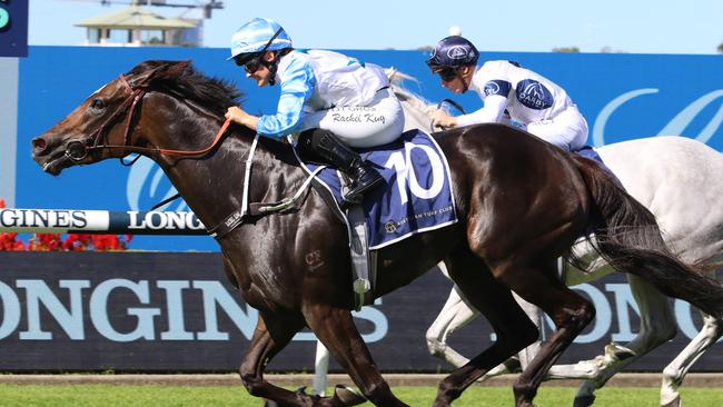 Nimalee is ready to peak third-up in the Golden Pendant. Picture: Grant Guy