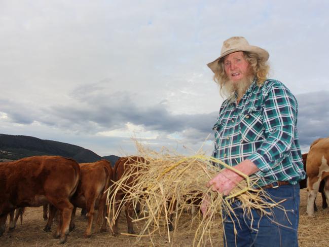 "Wild" Bill Ellis is a farmer from Mt Colliery feeding his cattle hay during a drought with cloudy skies above holding promise of rain.