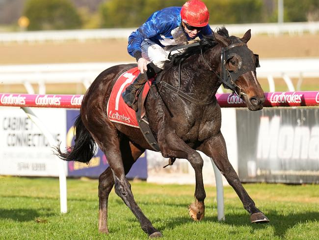 The Devil In Her ridden by Jye McNeil wins the Turnbull Toyota BM64 Handicap at Sale Racecourse on July 04, 2024 in Sale, Australia. (Photo by Scott Barbour/Racing Photos via Getty Images)