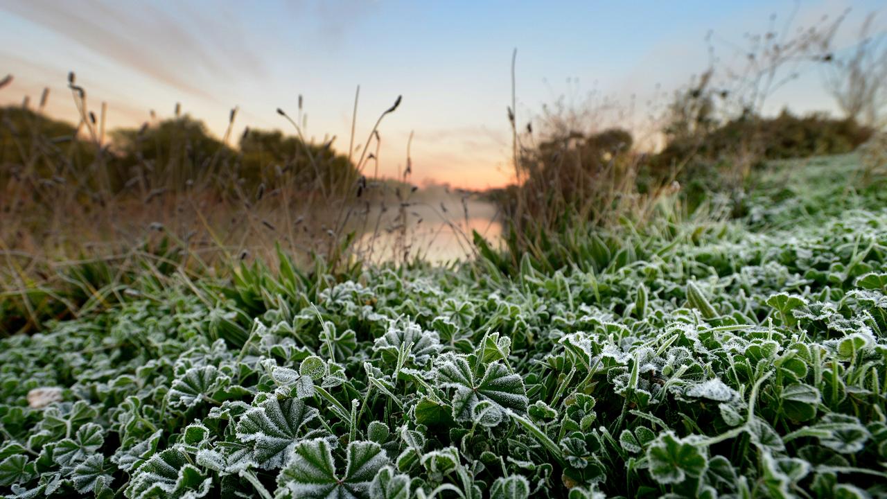 Cold conditions at the Munno Para wetlands on Monday morning. Picture: Photo Sam Wundke