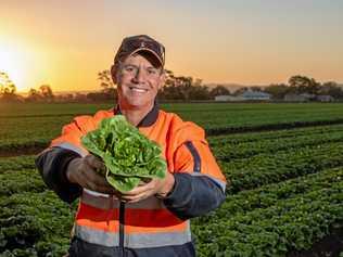 Vegetable grower Anthony Staatz, of Koala Farms, Lake Clarendon. Picture: ALI KUCHEL