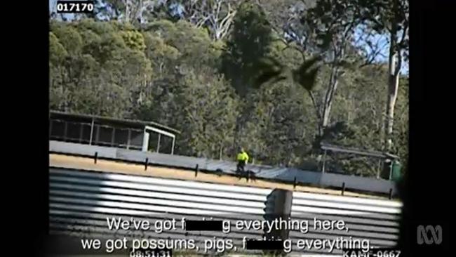 Four Corners cameras captures a trainer what animals they have to ‘live bait’. Picture: ABC