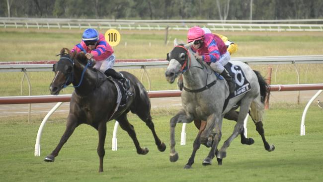 Trainer Jim O'Shea’s talented duo Barachiel (right) and Spring Creek fought out the finish of the Open Handicap at Callaghan Park in 2019