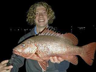 GOTCHA: Tom Ingram's quest to land his first ever mangrove Jack in the Noosa River paid off in spades when his fish (and mega smile) won him the $100 Davo's Tackle World/ChaseBaits Fish of the Week prize. Picture: www.fishingnoosa.com.au