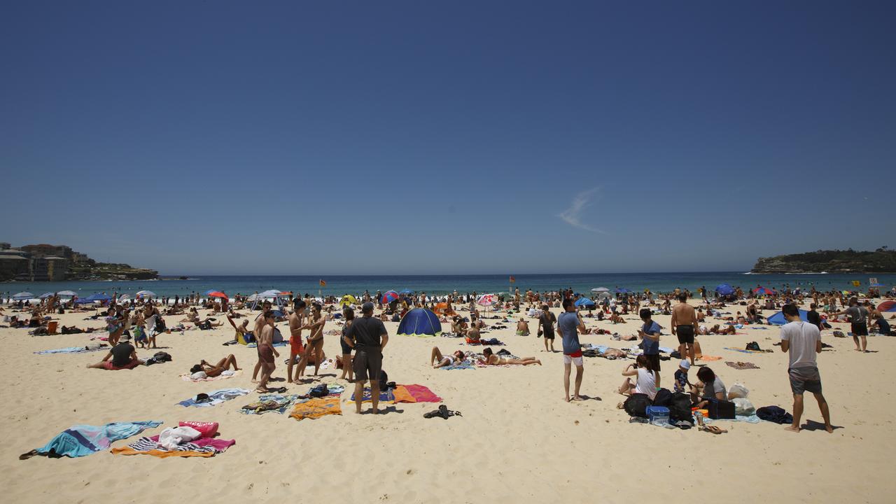 Crowds have been out in full force at Bondi Beach this week. And with good reason. 