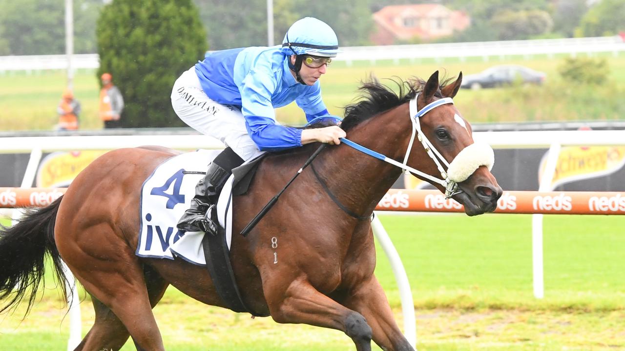 Eneeza is chasing a Group 1 win this prep. Picture: Brett Holburt/Racing Photos via Getty Images