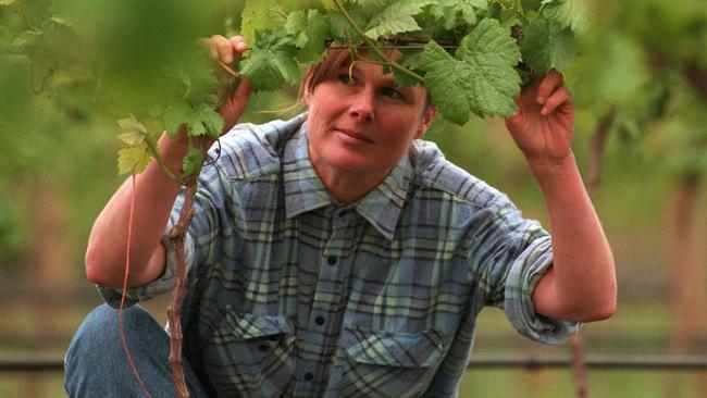 Winemaker Kathleen Quealy tending to grape vines.