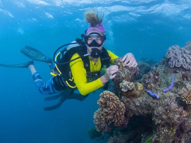 Cairns may struggle to get a boost from increased domestic tourism as people stay close to home. Picture: Brian Cassey