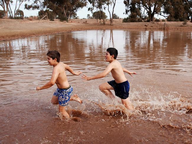 James and Harrison O’Brien play in the dam on their Five Ways proeprty that is so low they can run through it. Picture: Sam Ruttyn